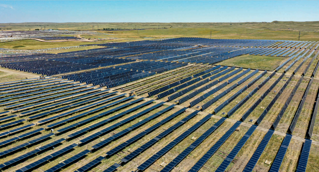 Large Solar Panel Array